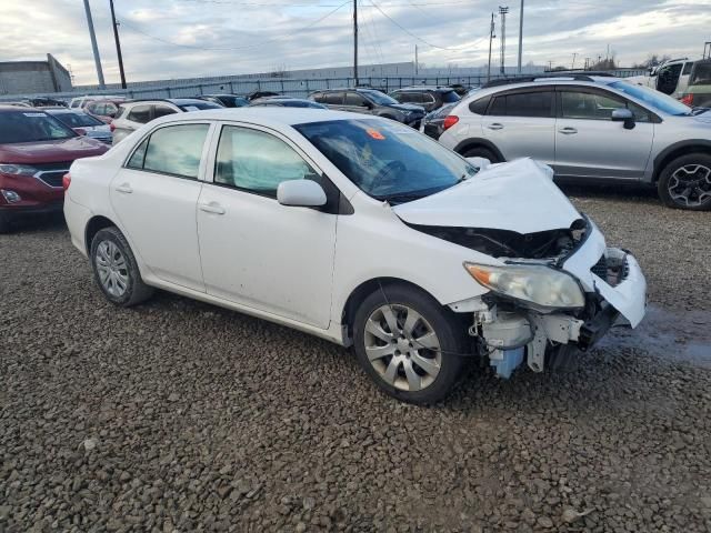 2010 Toyota Corolla Base