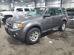 Ford Escape salvage cars for sale: 2011 Ford Escape XLS