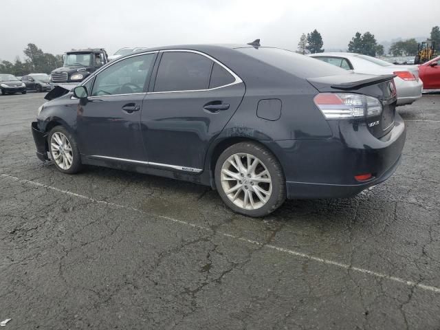 2010 Lexus HS 250H