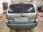 2006 Ford Escape Limited