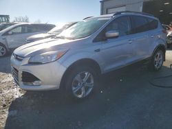 Salvage cars for sale at Cahokia Heights, IL auction: 2013 Ford Escape SE