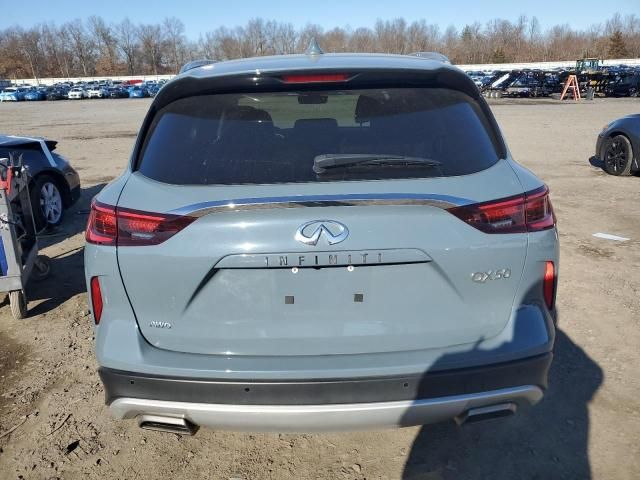 2023 Infiniti QX50 Luxe