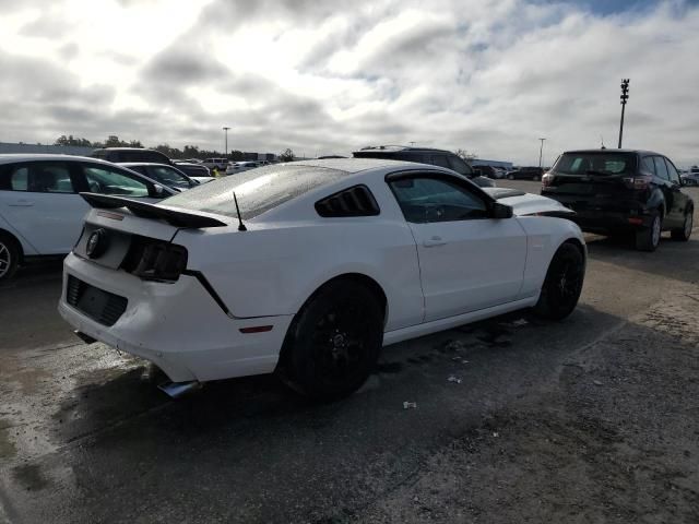 2013 Ford Mustang