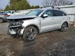 Salvage cars for sale at Finksburg, MD auction: 2023 KIA Sorento SXP