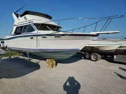 Salvage boats for sale at Arcadia, FL auction: 1988 Bayliner 2850 Ciera