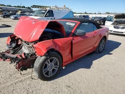 Salvage cars for sale at Harleyville, SC auction: 2014 Ford Mustang