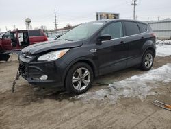 Salvage cars for sale at Chicago Heights, IL auction: 2015 Ford Escape SE