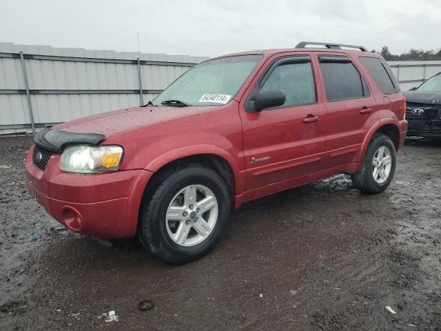 2007 Ford Escape HEV