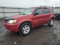 Salvage cars for sale from Copart Fredericksburg, VA: 2007 Ford Escape HEV