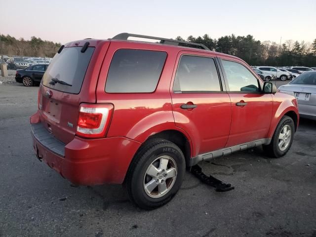 2011 Ford Escape XLT