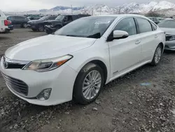 Toyota salvage cars for sale: 2013 Toyota Avalon Hybrid