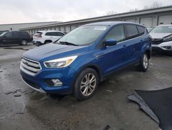 Salvage cars for sale at Louisville, KY auction: 2017 Ford Escape SE