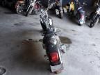 2002 Harley-Davidson Fxstd