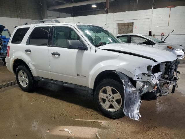 2010 Ford Escape Hybrid