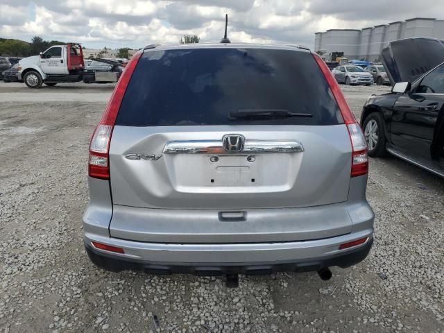 2010 Honda CR-V EXL