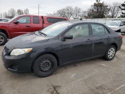 Salvage cars for sale from Copart Moraine, OH: 2010 Toyota Corolla Base