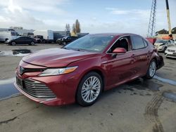 Salvage cars for sale from Copart Hayward, CA: 2020 Toyota Camry XLE