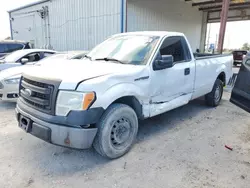 Salvage cars for sale from Copart Riverview, FL: 2013 Ford F150