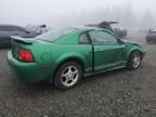 2001 Ford Mustang