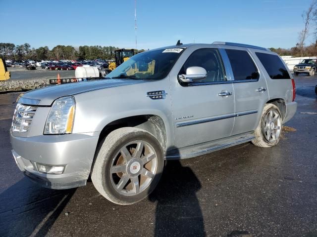 2013 Cadillac Escalade Luxury