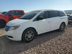 Salvage cars for sale at Phoenix, AZ auction: 2013 Honda Odyssey EX