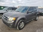 2011 Ford Escape XLS