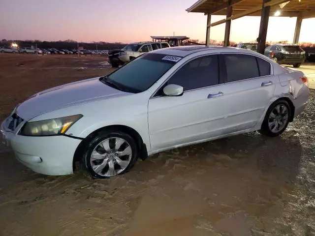 2010 Honda Accord EXL