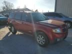 2008 Mazda Tribute I