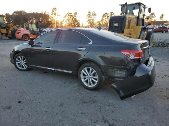 2010 Lexus ES 350