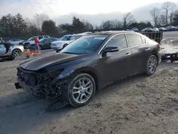 2010 Nissan Maxima S en venta en Madisonville, TN