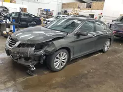 Salvage cars for sale at Ham Lake, MN auction: 2014 Honda Accord EXL