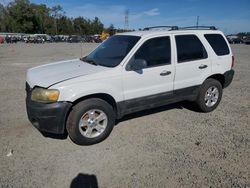 Salvage cars for sale at Riverview, FL auction: 2005 Ford Escape XLT