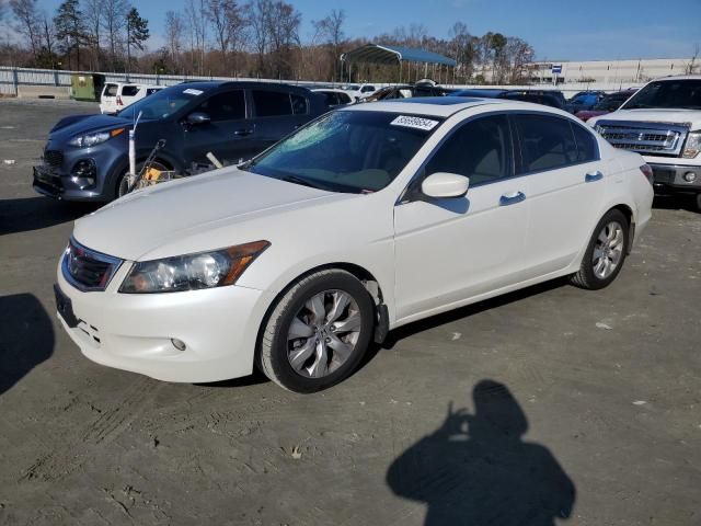 2010 Honda Accord EXL