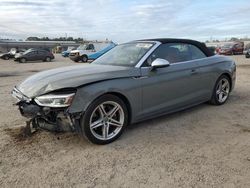 Salvage cars for sale at Harleyville, SC auction: 2019 Audi S5 Premium Plus