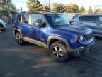 2019 Jeep Renegade Trailhawk