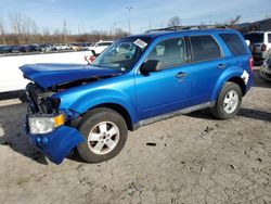 2011 Ford Escape XLT en venta en Bridgeton, MO