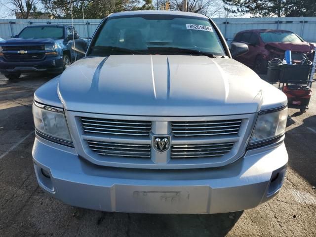 2008 Dodge Dakota SXT