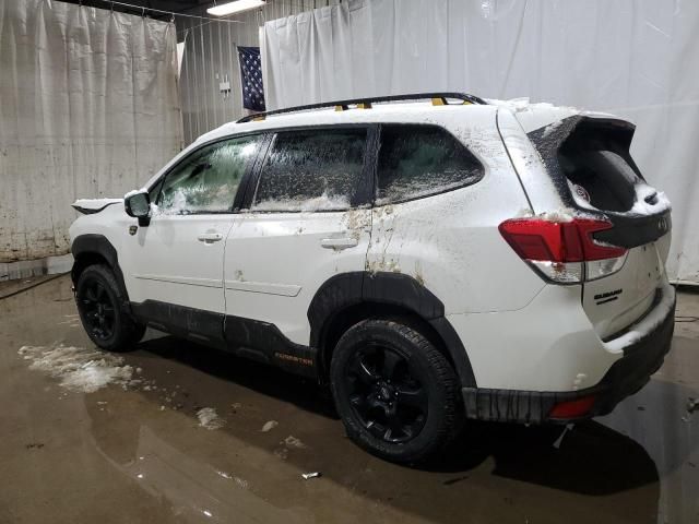 2023 Subaru Forester Wilderness