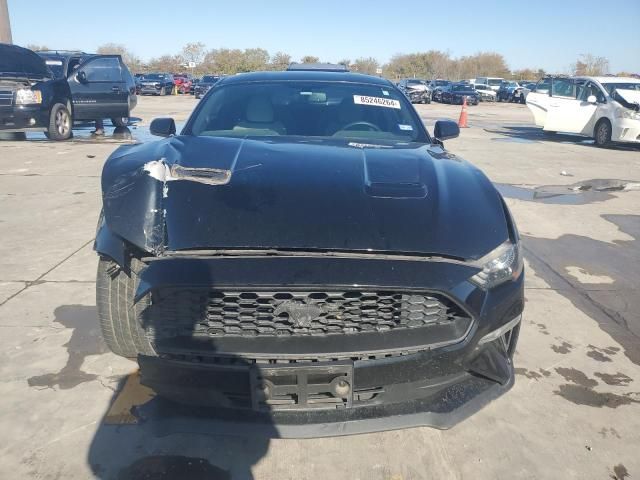 2019 Ford Mustang