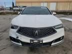 2019 Acura TLX Advance