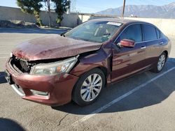 Honda salvage cars for sale: 2013 Honda Accord EXL