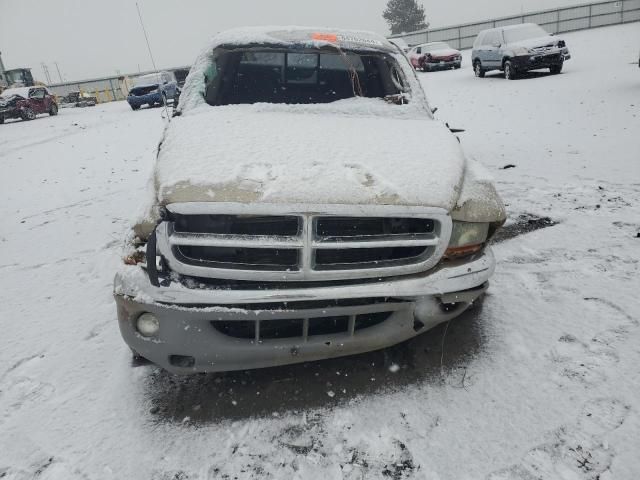 2004 Dodge Dakota Quad SLT