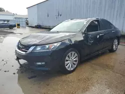 Salvage cars for sale at Greenwell Springs, LA auction: 2014 Honda Accord EXL