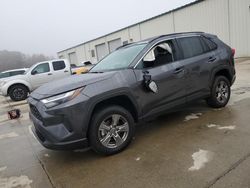 Salvage cars for sale at Gaston, SC auction: 2023 Toyota Rav4 XLE