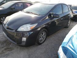 Salvage cars for sale at Las Vegas, NV auction: 2010 Toyota Prius