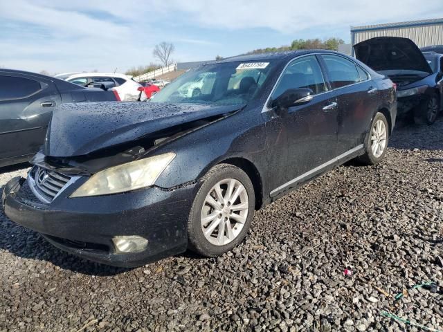 2010 Lexus ES 350