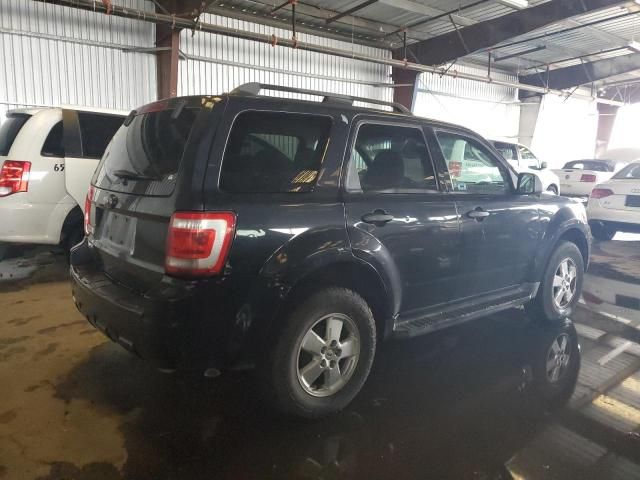 2009 Ford Escape XLT