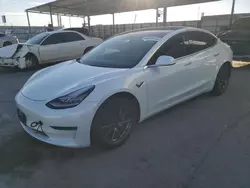 2019 Tesla Model 3 en venta en Anthony, TX