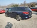 2024 Honda Odyssey EXL