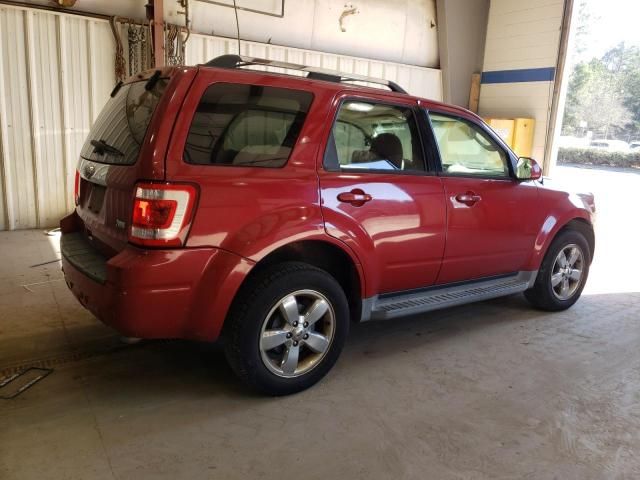 2011 Ford Escape Limited